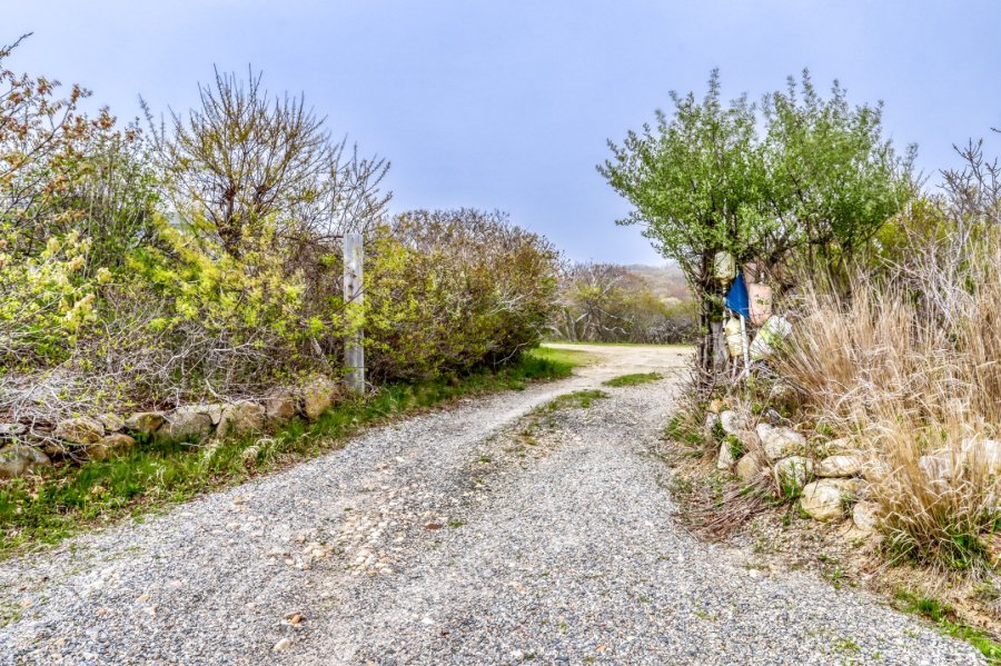 Property Photo 26