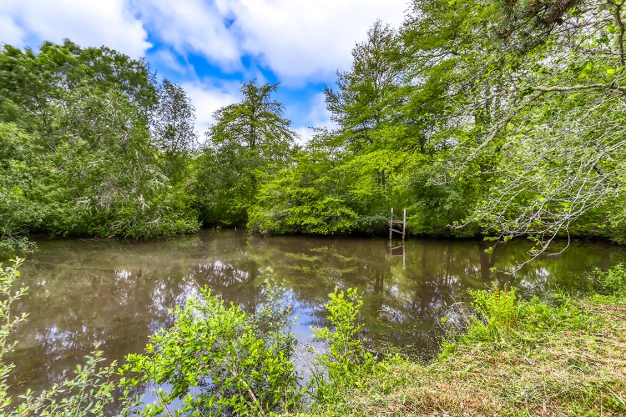 Property Photo 34