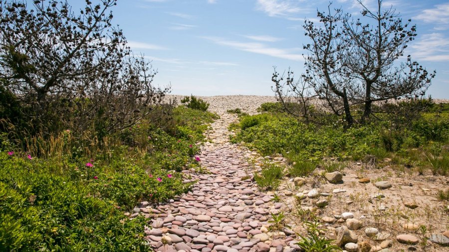 Property Photo 35