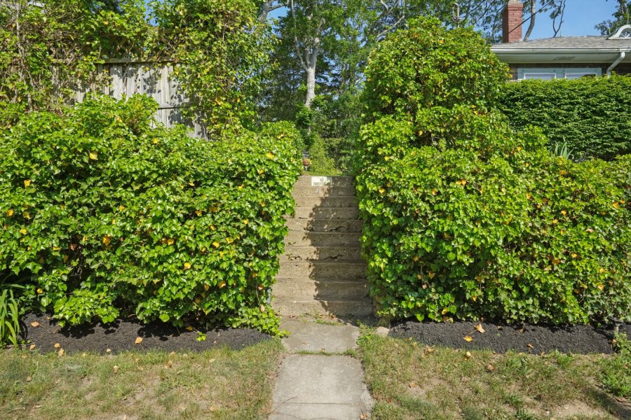 Property Photo 51