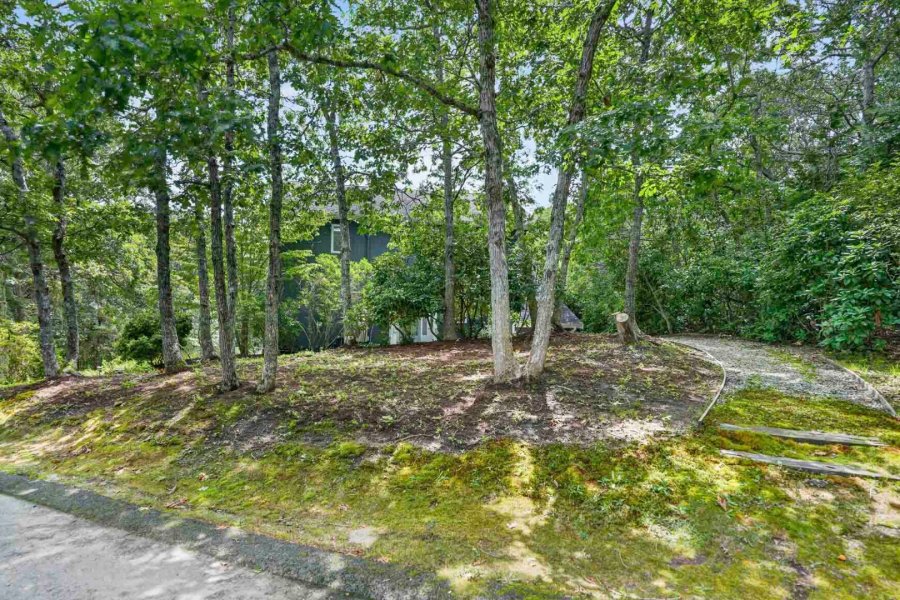 Property Photo 37