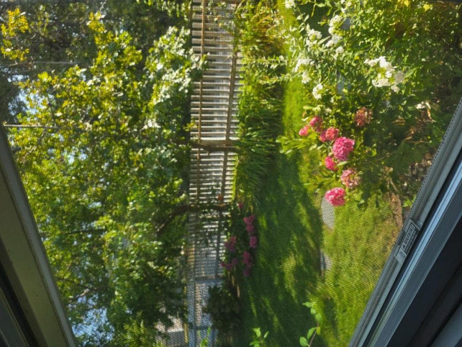 Property Photo 43