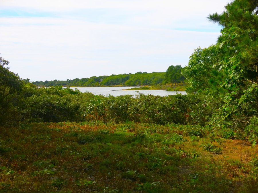 Property Photo 24