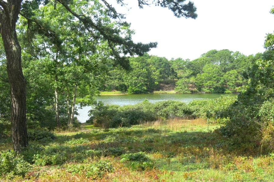 Property Photo 25