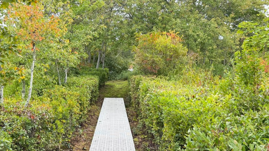 Property Photo 38